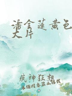 潘金莲黄色一级大片