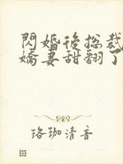 闪婚后总裁农村娇妻甜翻了