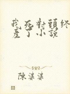 我死对头终于破产了小说