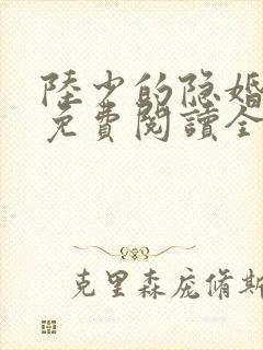 陆少的隐婚罪妻免费阅读全