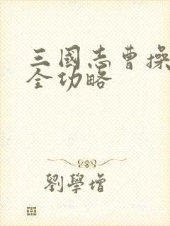 三国志曹操传完全功略