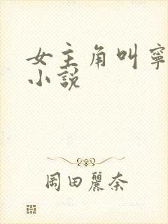 女主角叫宁夕的小说