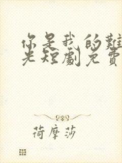 你是我的难忘时光短剧免费观看