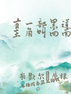 有一部黑道小说主角叫向南的小说