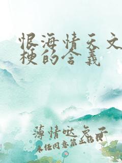 恨海情天文学的梗的含义