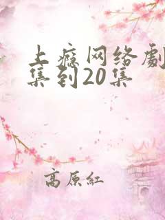 上瘾网络剧16集到20集