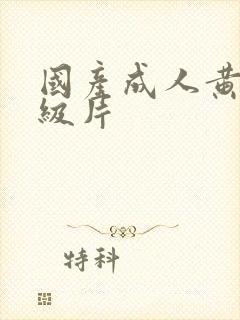 国产成人黄色一级片