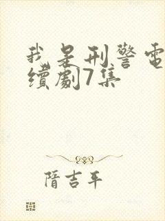 我是刑警电视连续剧7集