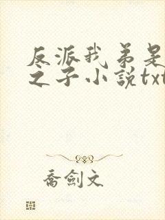 反派我弟是天选之子小说txt