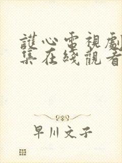 护心电视剧40集在线观看免费