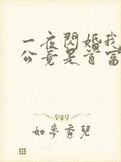 一夜闪婚我的老公竟是首富