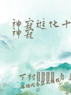 神宠进化十二个神宠