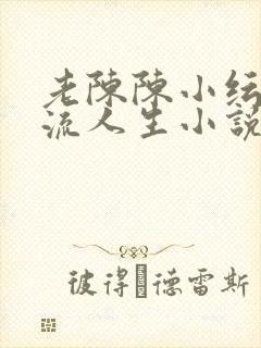 老陈陈小纭的风流人生小说免费阅读