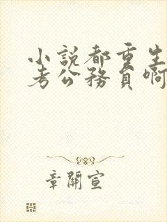 小说都重生了谁考公务员啊全本阅读