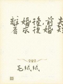 离婚后,前夫哭着求复婚 短剧