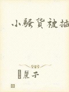 小骚货被插小逼