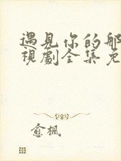 遇见你的那天电视剧全集免费观看