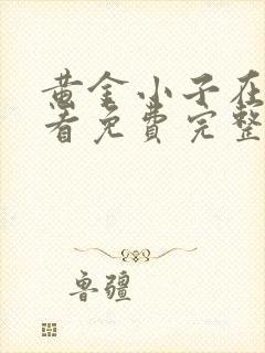 黄金小子在线观看免费完整版5集