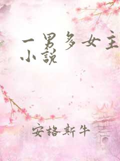 一男多女主后宫小说