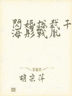 闪婚总裁千亿宠海彤战胤