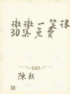 微微一笑很倾城30集免费