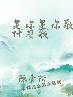 是你是你歌词是什么歌