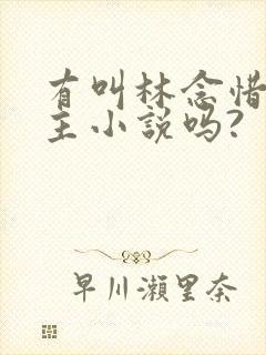 有叫林念惜的女主小说吗?