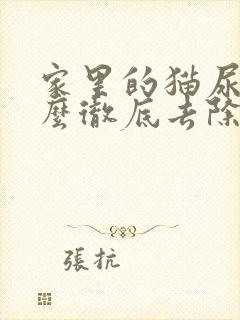 家里的猫尿味怎么彻底去除