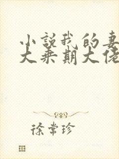 小说我的妻子是大乘期大佬txt