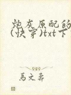 炮灰原配的人生(快穿)txt下载