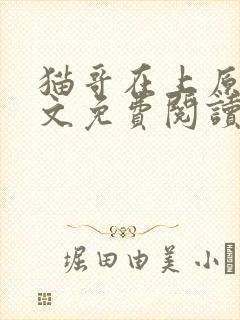 猫哥在上原著全文免费阅读无弹窗