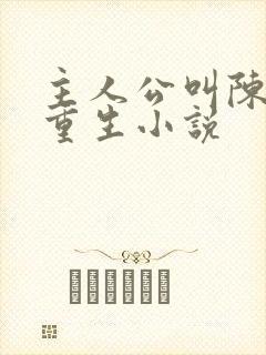 主人公叫陈风的重生小说