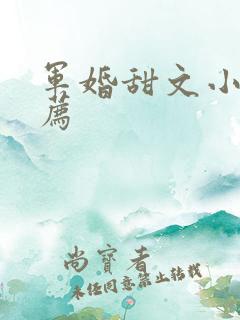 军婚甜文小说推荐