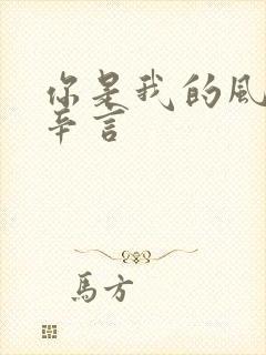 你是我的风景林辛言