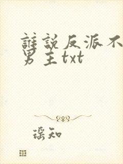 谁说反派不能当男主txt