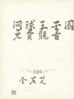 网球王子国语版免费观看