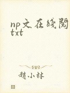 np文在线阅读txt