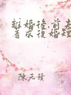 离婚后,前夫哭着求复婚短剧