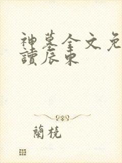 神墓全文免费阅读辰东