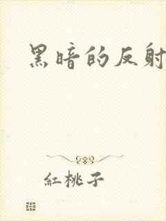 黑暗的反射在线
