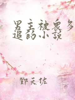 男主被众多女主追的小说