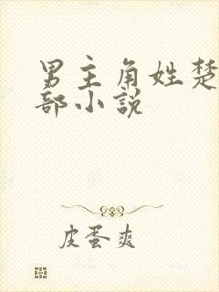 男主角姓楚的全部小说