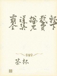 霸道总裁轻点爱全集免费下拉式漫画