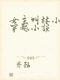 女主叫林小渔的穿越小说