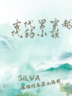 古代男穿越到现代的小说