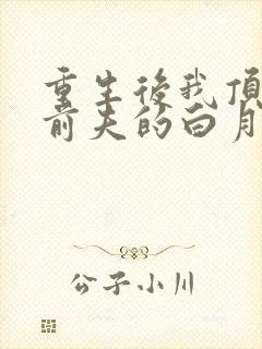 重生后我顶替了前夫的白月光结局