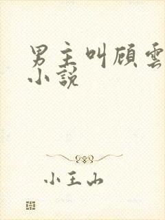 男主叫顾云峥的小说