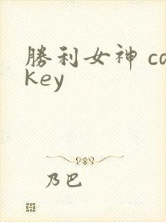 胜利女神 cdkey