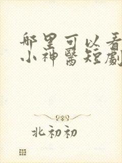 哪里可以看狂野小神医短剧