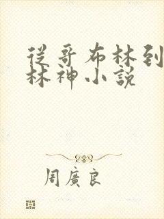 从哥布林到哥布林神小说